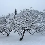 Сasa de vacaciones 260m2 Unique Mountain House In Parnasos Lílaia