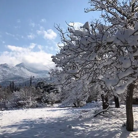 Dom wakacyjny 260m2 Unique Mountain House In Parnasos Lílaia