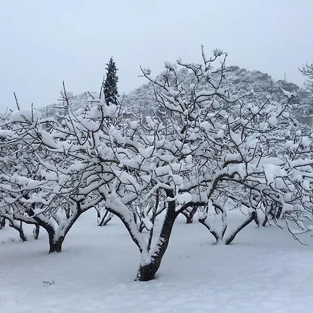 Dom wakacyjny 260m2 Unique Mountain House In Parnasos Lílaia