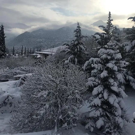 260m2 Unique Mountain House In Parnasos Lílaia