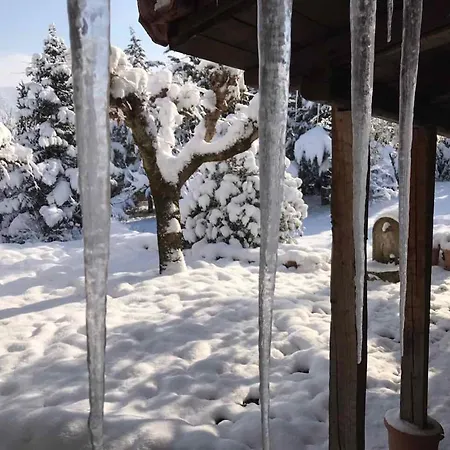 260m2 Unique Mountain House In Parnasos