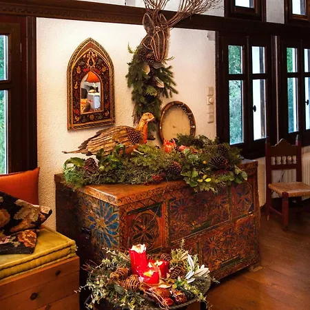 260m2 Unique Mountain House In Parnasos Casa vacanze