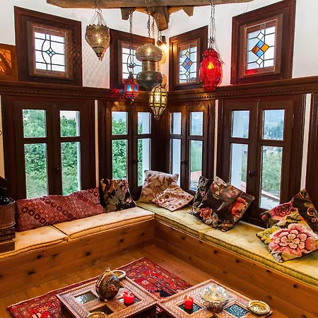 260m2 Unique Mountain House In Parnasos Holiday home
