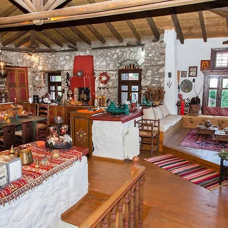 260m2 Unique Mountain House In Parnasos Holiday home